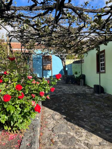 La Casita Azul 4