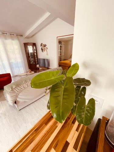 La Kaz Sainte Anne in Sainte Anne