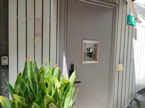 Shanghai Dreams - Cozy Sunroom on Yongkang Road - Entire Apartment Shanghai Dreams - Cozy Sunroom on Yongkang Road - Entire Apartment