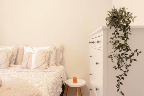 Boho Chic Urban Oasis