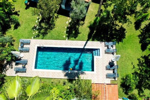Villa Misli - red/ green - Tap to explore photos