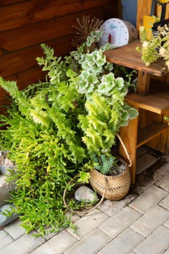 Oriebruggie Accommodation Oriebruggie Accommodation