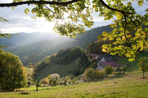 Logis Auberge Du Mehrbachel - Hôtel & Restaurant Hotel de charme Ballon d'Alsace