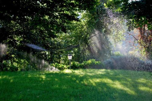 Lavanda & Rosmarino Apartments gîte à louer Orvieto