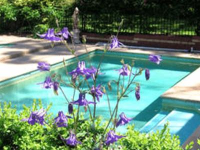 Treetops Bed & Breakfast in فوريست هيل