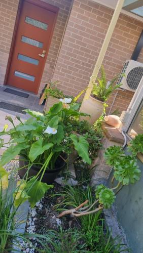 Oasis in the Heart of Dural