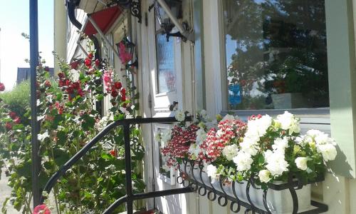 Kullabygdens Bed & Breakfast Höganäs (Kullabygdens Bed & Breakfast Hoganas) in 約斯托普