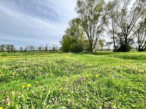 Kranichrast in Fehrbellin