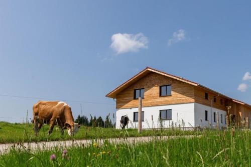 Viesnīcas āriene, Auszeit Ferienhof in Gorisried
