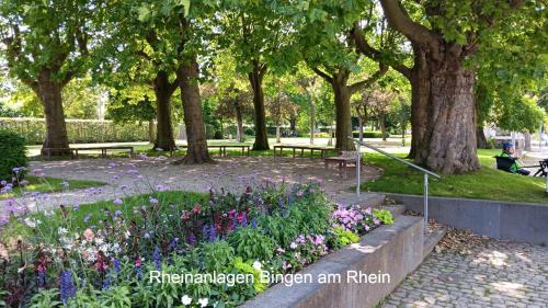 Nearby attraction, Ferienwohnung Aspisheim in Ober-Hilbersheim