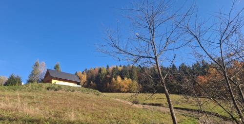 Gładyszówka - Chatka w Gorcach