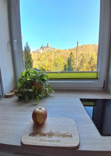 Studio Blick zum Schloss Wernigerode in Wernigerode, Deutschland
