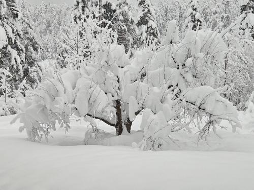 Haus Gaichtspitzblick Haus Gaichtspitzblick