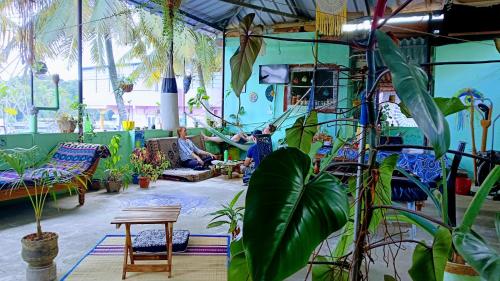 Mountain View Homestay in 帖卡迪