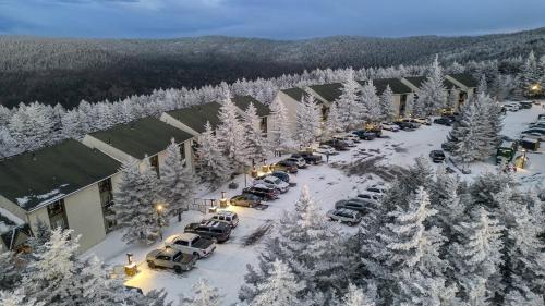 Leatherbark 306A 2BR 1BA Sleep 8 Fireplace WiFi Close to Village and Slopes in Dunmore, USA
