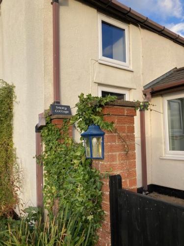 Trinity Cottage in Trewern