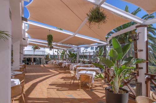 Las Marismas de Corralejo - image 3