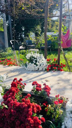 GreenZen reset space - Location saisonnière - Zagorič