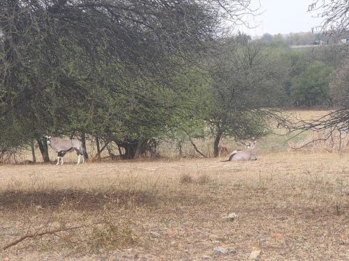 17 on Spey 17 on Spey