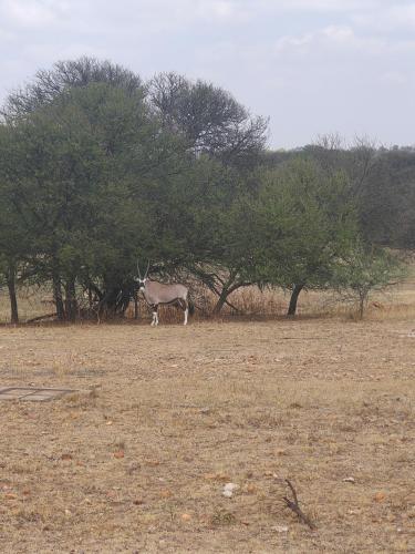 17 on Spey 17 on Spey