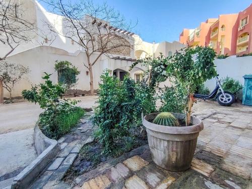 Cosy 1 bedroom in the heart of Hurghada - Sheraton Road, Hurghada (foto 2)