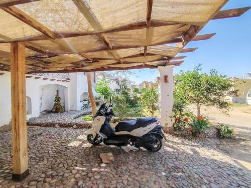 Cosy 1 bedroom in the heart of Hurghada - Sheraton Road, Hurghada (foto 4)