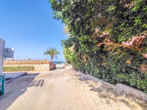 Cosy 1 bedroom in the heart of Hurghada - Sheraton Road, Hurghada (foto 10)