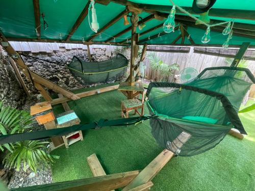 Les hamacs aux Saintes in Terre-de-Haut