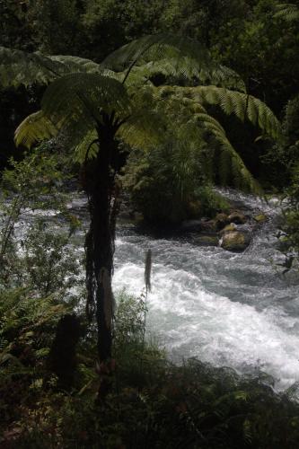 塔拉威拉河旅馆