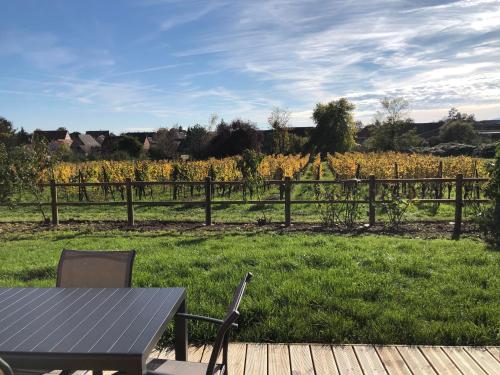陽台/露台, Domaine Rosfelder - locations de gîte et cabane insolite (Domaine Rosfelder - locations de gite et cabane insolite) in 格爾茲韋萊