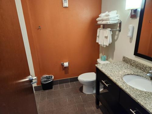 Sleep Inn & Suites Blackwell I-35 - 화장실