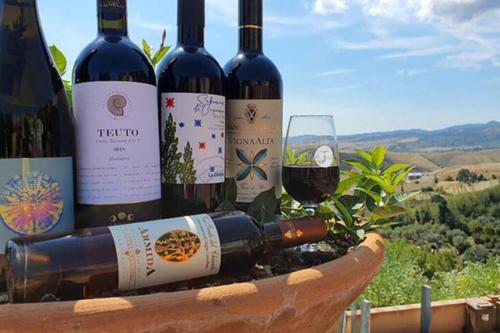 Appartamento Limoni con terrazza in Chianni