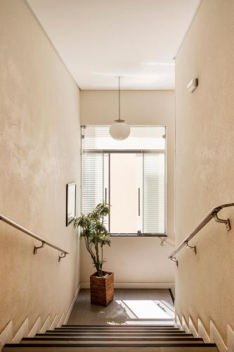 Hotel Cisne, São Paulo (fotografie 9)