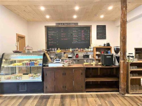 Le1601 - Le Petit Renard - Chalet spa et plage in Sainte Lucie des Laurentides (QC)