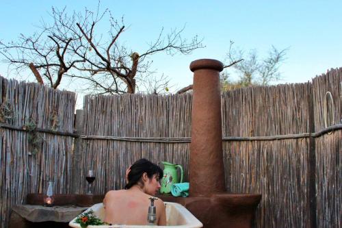 Living Land, a magical Permaculture Farm Living Land, a magical Permaculture Farm