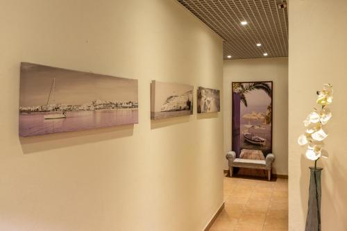 Guest House Oliveira - image 10