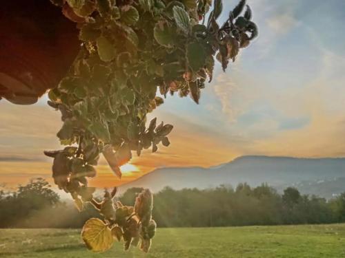 Uitzicht, Brvnara Staničić (Brvnara Stanicic) in Bukovik