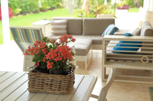 Cronulla Beach House B&B - image 8