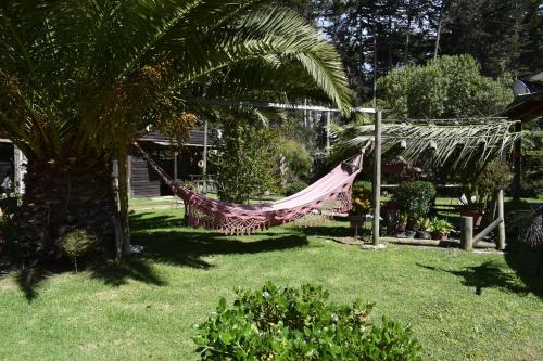 Cabañas Jardines de Isla Negra