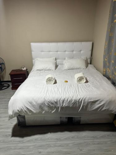 Steady State Apartment 5 in Chelston