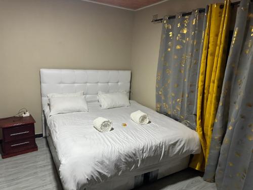 Steady State Apartment 5 in Chelston