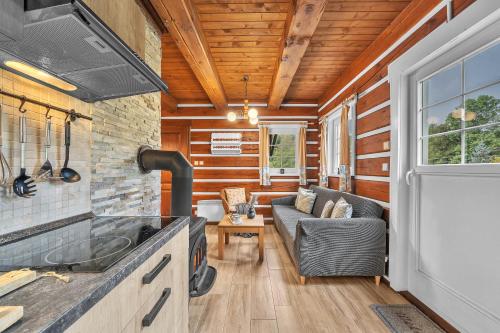 Modern chalet Na Zlatniku in Zlata Olesnice