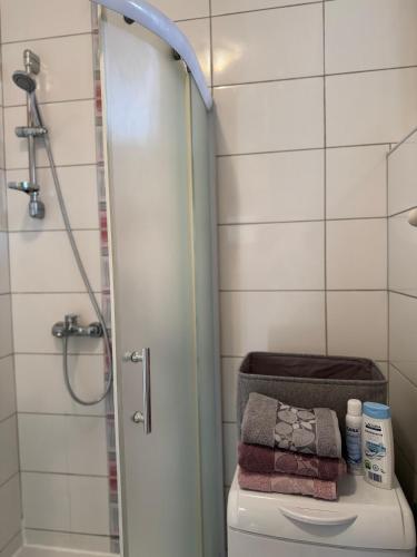 One-Bedroom Apartment image 5
