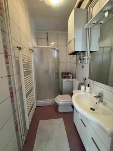 One-Bedroom Apartment image 4