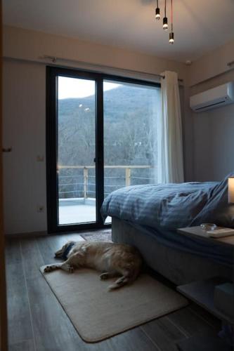 Endless View Orma Guesthouse, Orma (foto 3)