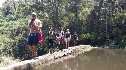 Jungle Monkey Backpackers