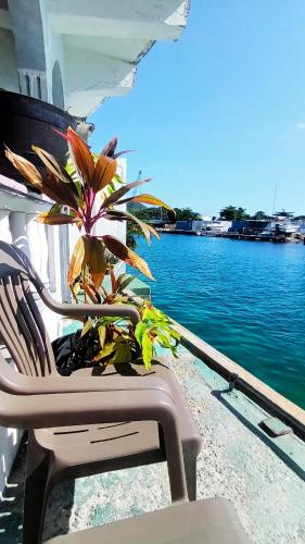 Shrimpy's Waterfront Hostel and Crew Quarters in Saint Martin