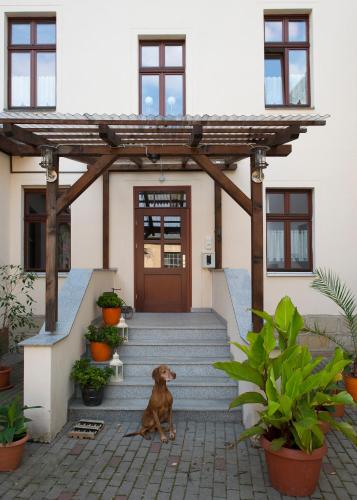 Entrada, Alte Druckerei in Quedlinburgo