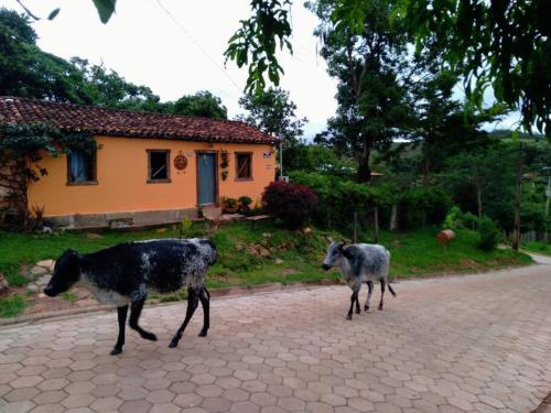 Diamantina, Curralinho Extração