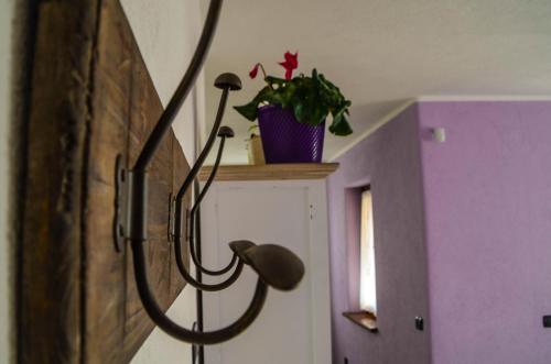 Les Vrais Rayons - image 2